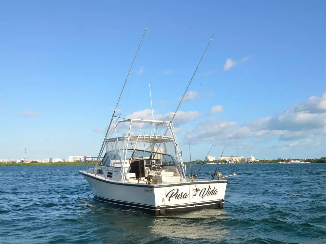 BERTRAM 35 Ft, photo 7