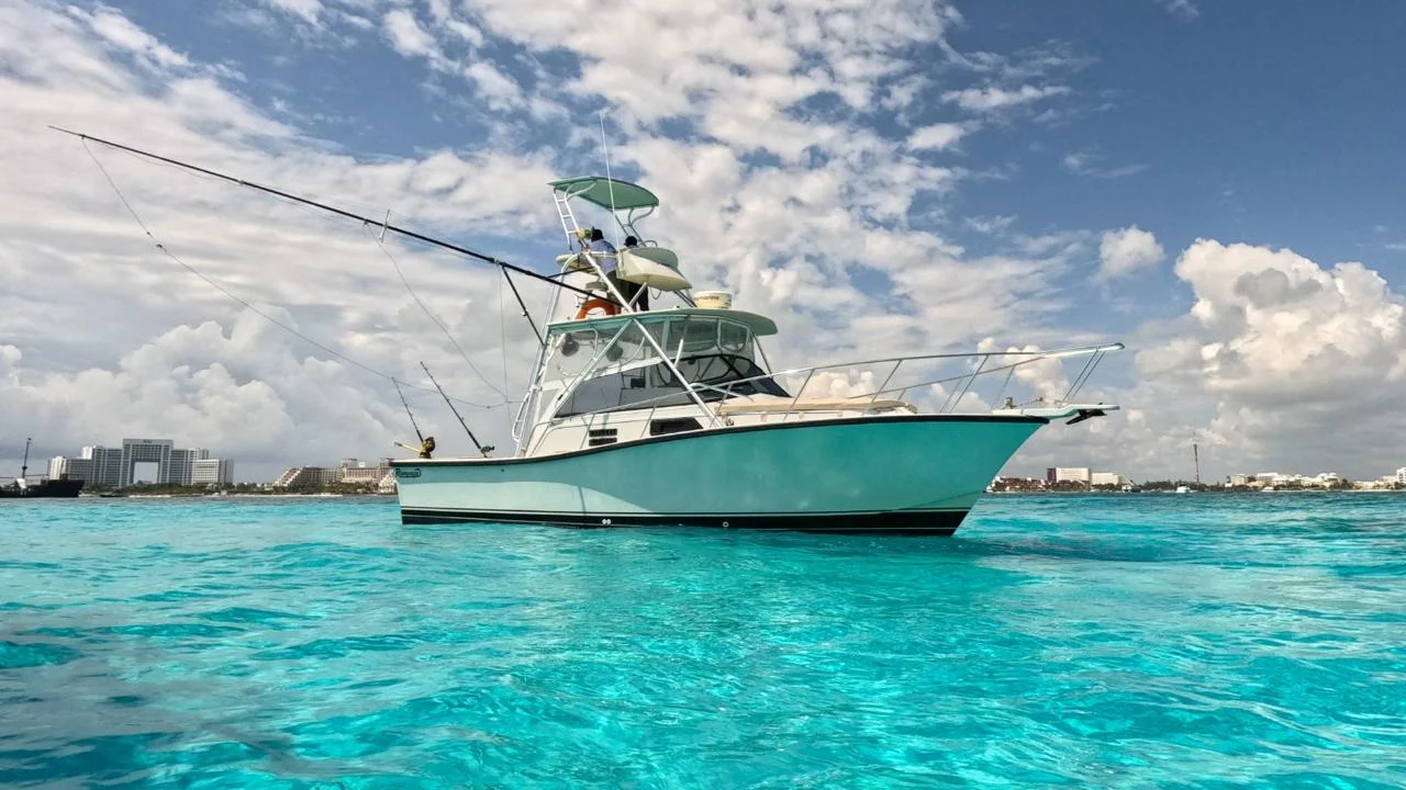 Bertram 35 ft, photo 8