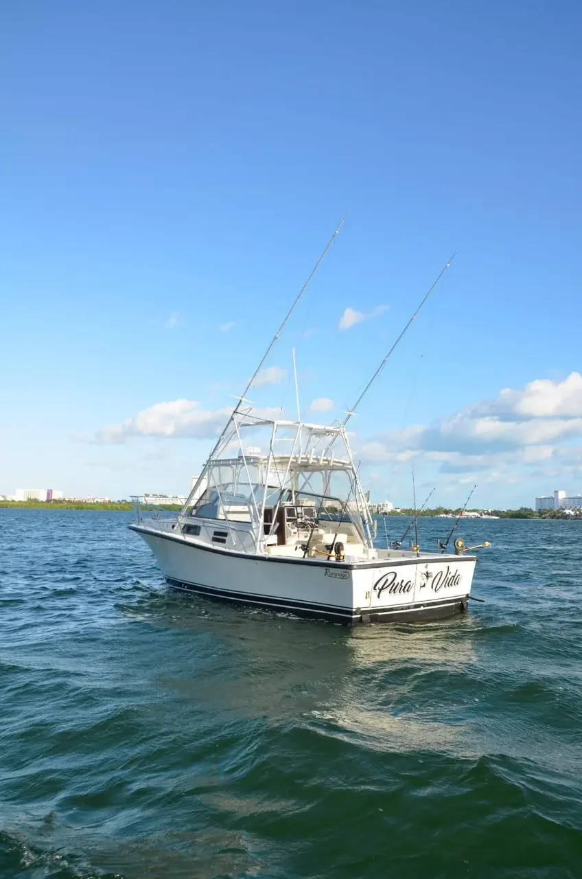 BERTRAM 35 Ft, photo 6