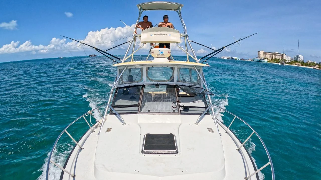 CHARTER 26ft, photo 10