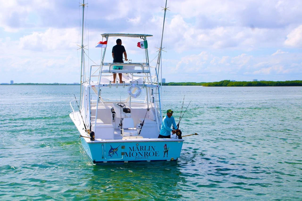 Bertram 32 ft, photo 10