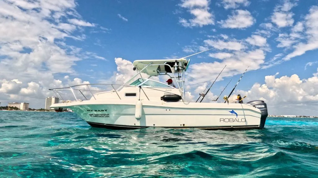 Charter 26 Ft, photo 12