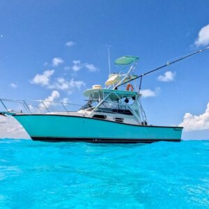 #21.Bertram 35 ft / Price for Boat