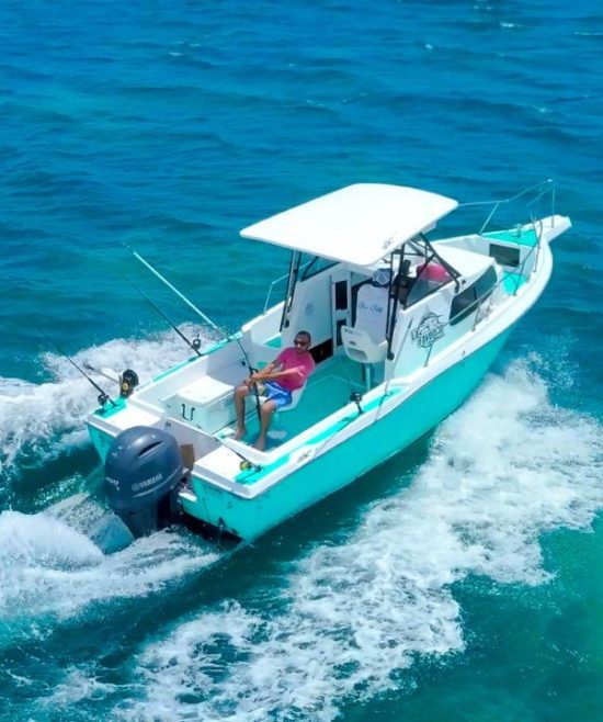 WhatsApp Image 2025-06-19 at 1.44.19 PM