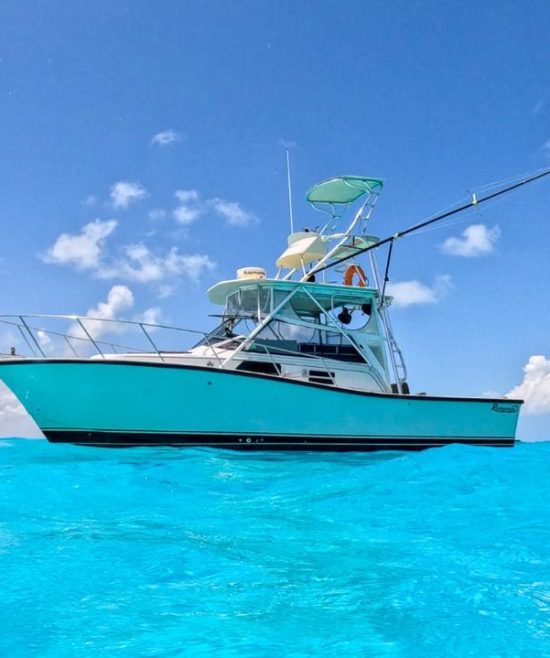 c791aac5-4a6d-49d0-aebf-d67652d45db4